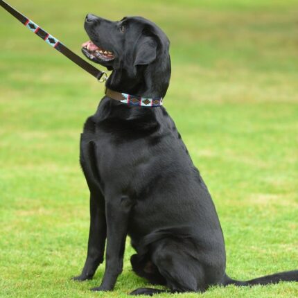 Pioneros 986 Narrow Dog Lead – Navy/Pale/Red – Personalised Gifts for Her - Crep Direct UK