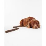 Barbour Leather Dog Lead DAC0004 – Brown – Personalised Gifts for Her - Crep Direct UK